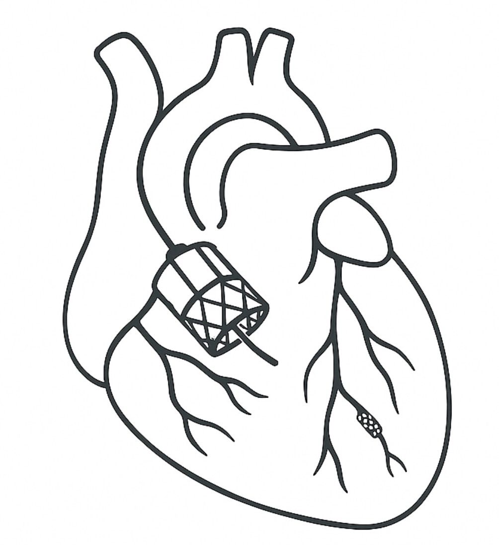 Logo Dr. Caglayan Demirel
